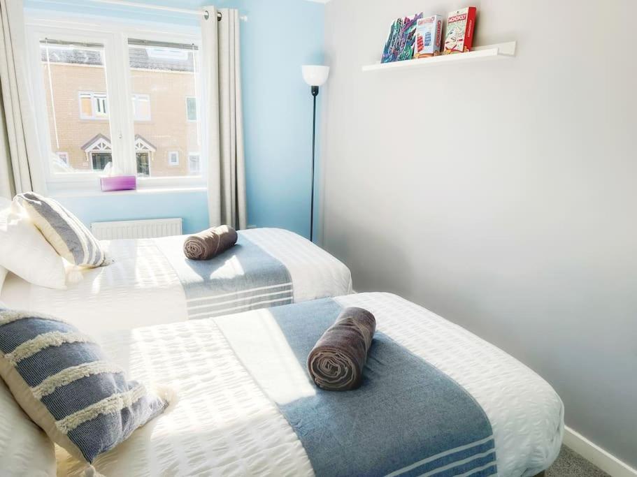 뉴캐슬어폰타인 Comfy Modern 3Br Semi Detached 400Mb Wifi Free Double Parking 빌라 외부 사진